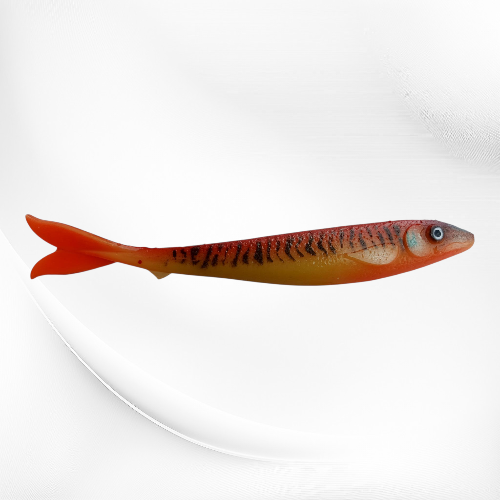 IMG-20260322-WA0029.png