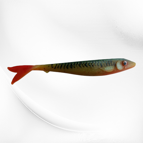 IMG-20260322-WA0037.jpg.png