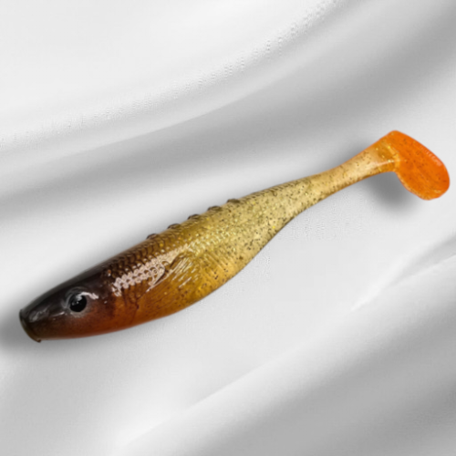 20261001_094816.png