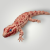 20261001_102518.png