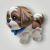 20261001_110637.png