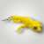 20261001_115541.png