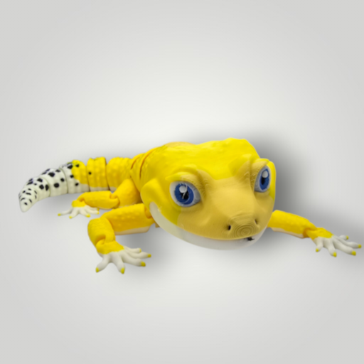 20261001_115552.png
