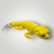 20261001_115604.png
