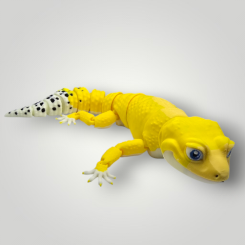 20261001_115541.png